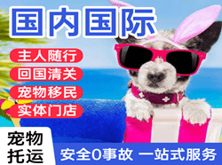 甘南夏河空运代理国际宠物托运 【国